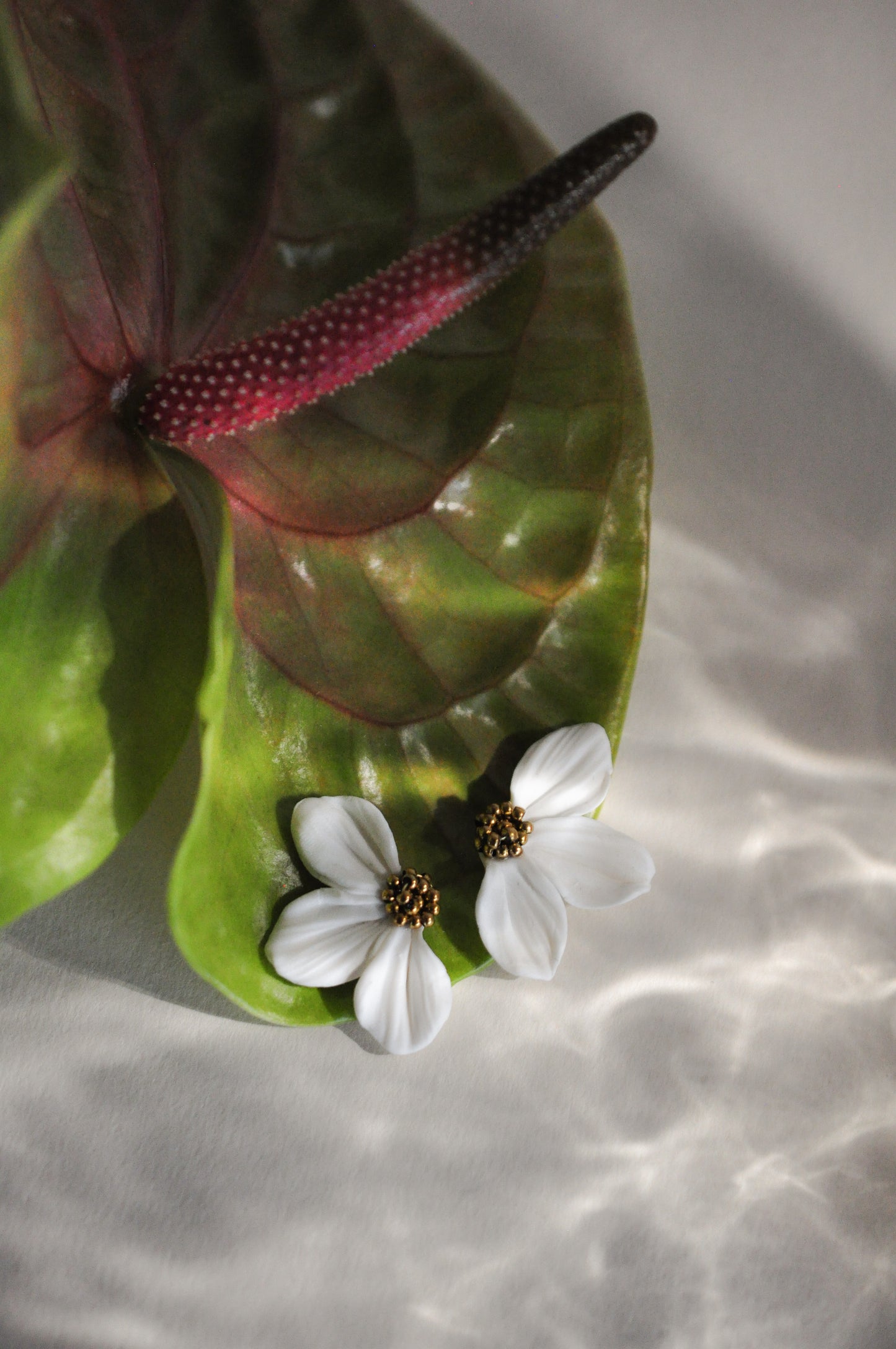 Gold & White Flower Earrings