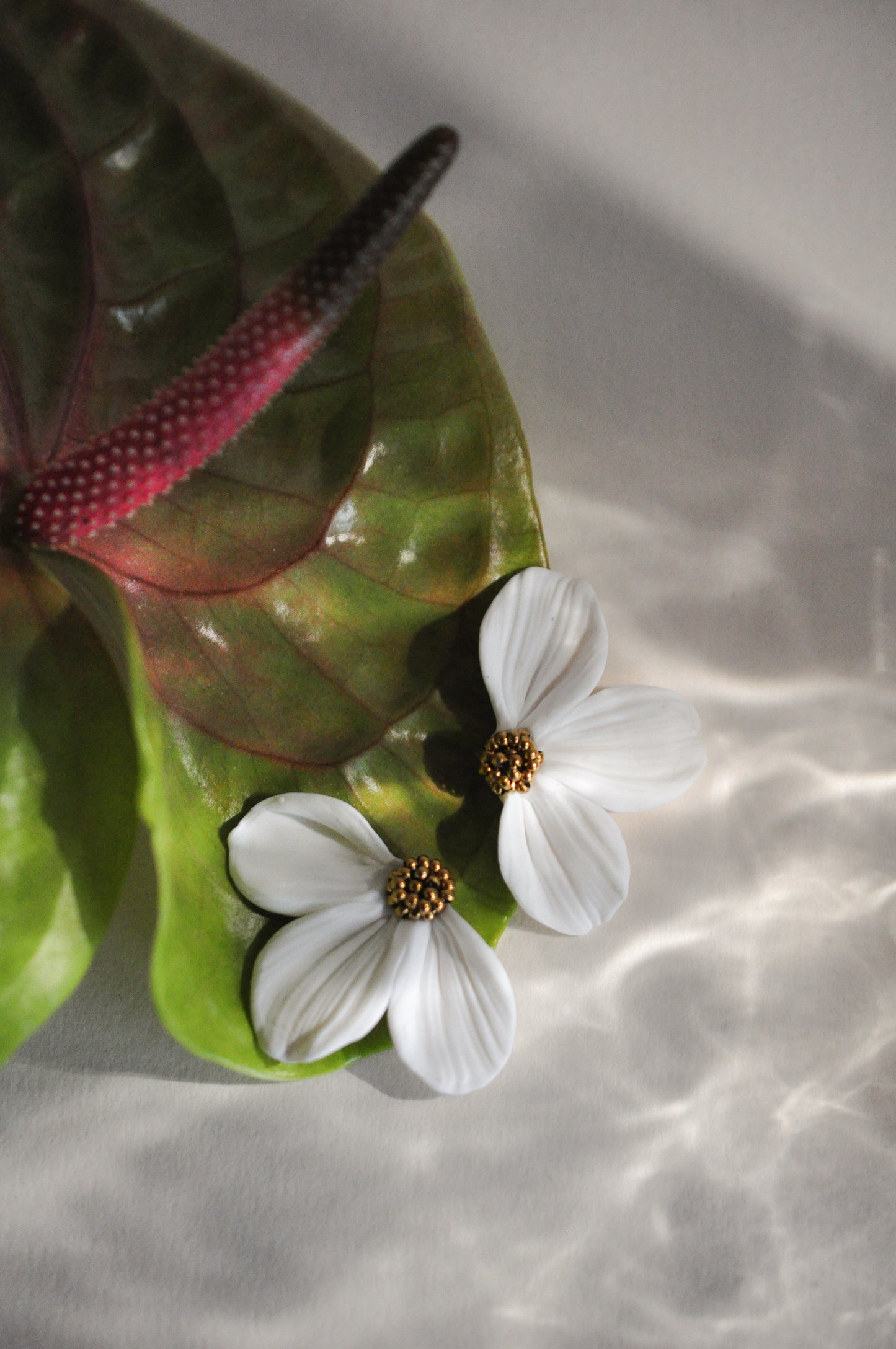 Gold & White Flower Earrings